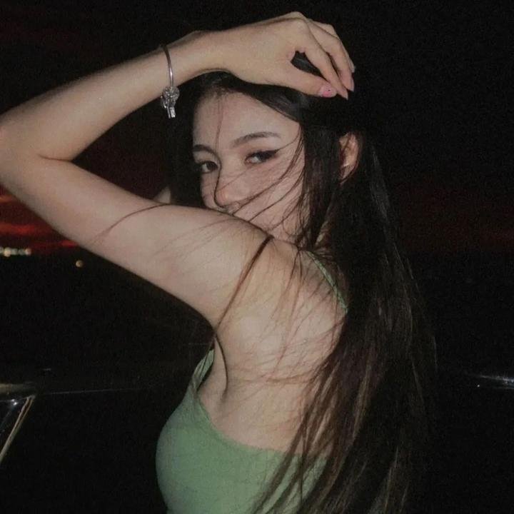 雁南飞